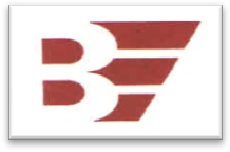 Logo (2)-bhagyashree